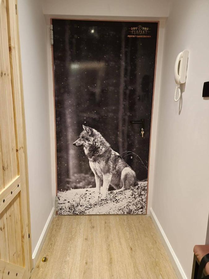 Perfekt Apartament คาร์ปัตซ์ ภายนอก รูปภาพ